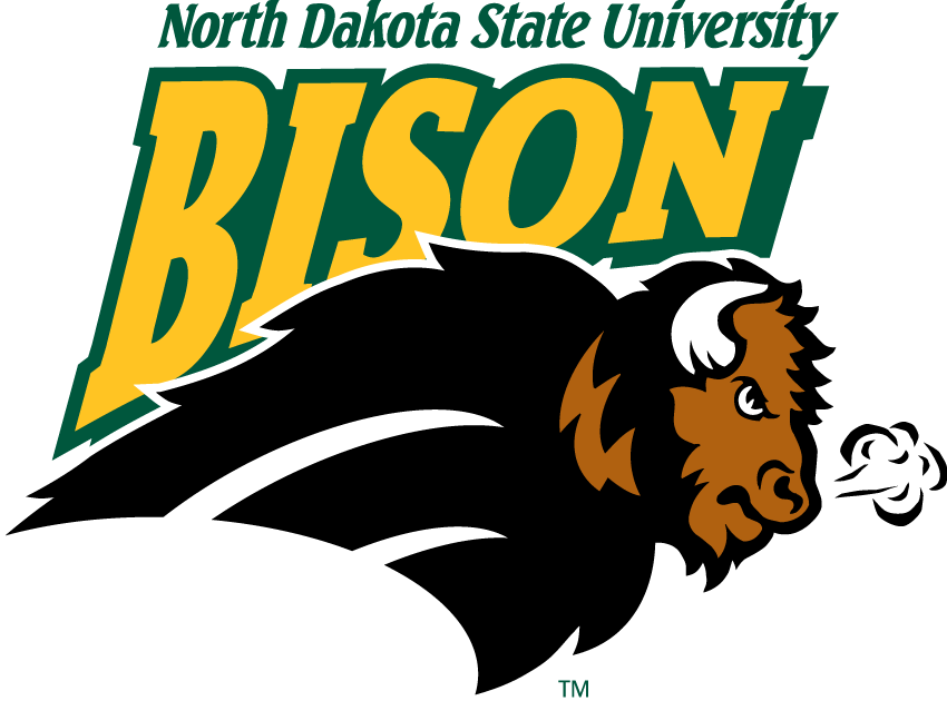 North Dakota State Bison 2005-2011 Alternate Logo 01 iron on paper